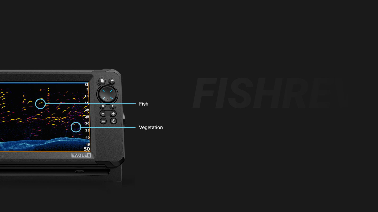 FishReveal features